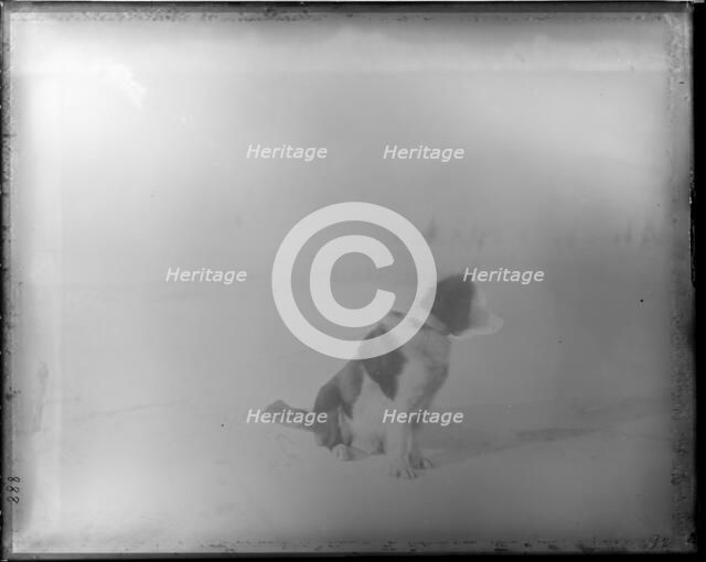 Northern Alaska Exploring Expedition, 1884-1886. Creator: Unknown.