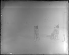 Northern Alaska Exploring Expedition, 1884-1886. Creator: Unknown