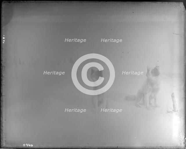 Northern Alaska Exploring Expedition, 1884-1886. Creator: Unknown.