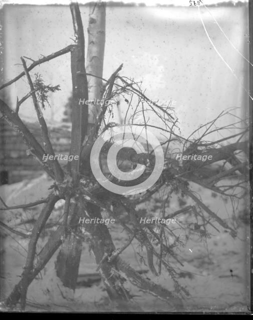 Northern Alaska Exploring Expedition, 1884-1886. Creator: Unknown.