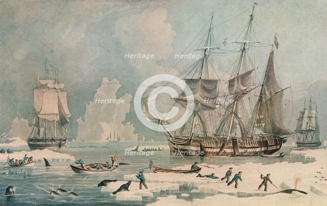 'Northern Whale Fishery', c1829. Artist: Edward Duncan.
