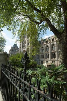 Nat Hist Museum, 2005. Creator: Ethel Davies