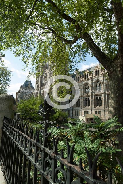 Nat Hist Museum, 2005. Creator: Ethel Davies.