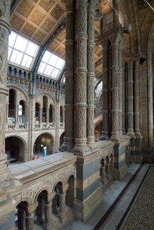 Nat His Museum, 2005. Creator: Ethel Davies