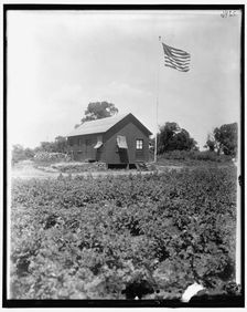 National Emergency, between 1910 and 1920. Creator: Harris & Ewing