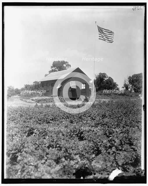 National Emergency, between 1910 and 1920. Creator: Harris & Ewing.