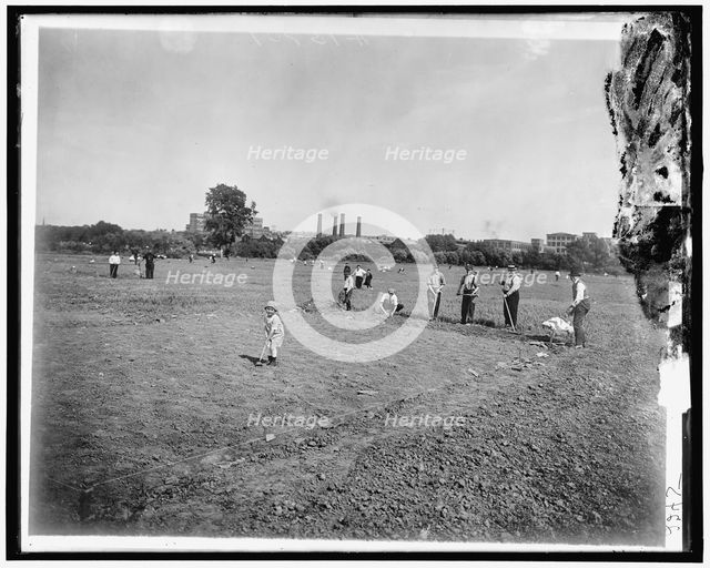 National Emergency Food Garden, between 1910 and 1920. Creator: Harris & Ewing.