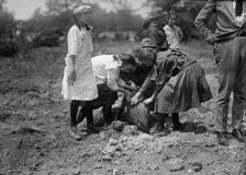 National Emergency War Gardens Com. - Girl Scouts Gardening at D.A.R., 1917. Creator: Harris & Ewing