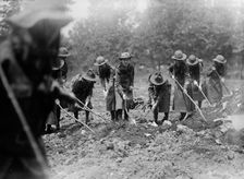 National Emergency War Gardens Com. - Girl Scouts Gardening at D.A.R., 1917. Creator: Harris & Ewing