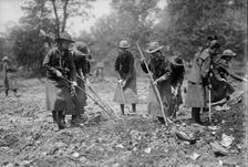National Emergency War Gardens Com. - Girl Scouts Gardening at D.A.R., 1917. Creator: Harris & Ewing