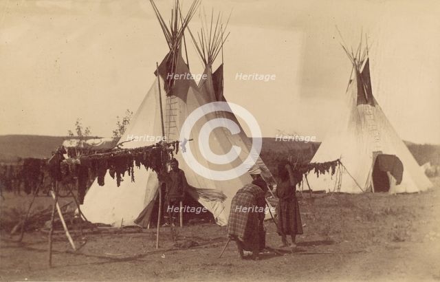Native American Woman in Camp with Racks of Drying Meat, 1880s-90s. Creator: Unknown.