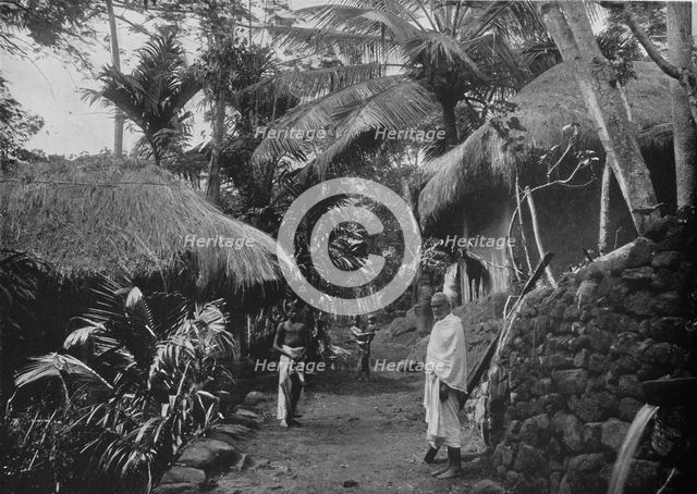 'Native Huts in the Jungle', c1890, (1910). Artist: Alfred William Amandus Plate.