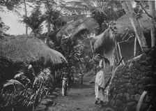 Native Huts in the Jungle c1890, (1910). Artist: Alfred William Amandus Plate