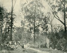 Native Sports, Lake Tyers 1901. Creator: Unknown