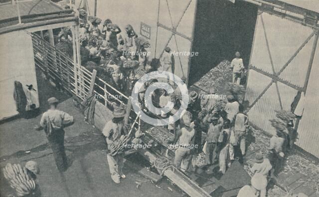 'Natives loading bananas at Kingston, Jamaica, chant Scottish psalms', 1937. Artist: Unknown.