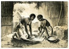 Natives Making Pombe 1883