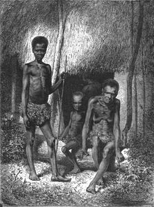Natives of the South-West Coast; Some Account of New Caledonia 1875. Creator: Unknown