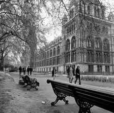 Natural History Museum, London, 1972. Artist: John Gay