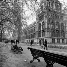Natural History Museum, London, 1972. Artist: John Gay