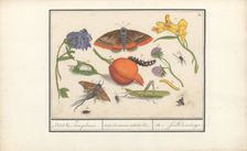 Natural History Ensemble (No. 14), 1596-1610. Creators: Elias Verhulst, Anselmus de Boodt