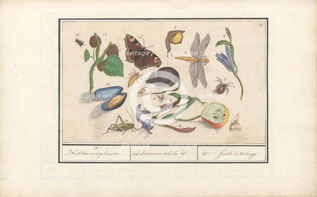 Natural History Ensemble (No. 15), 1596-1610. Creators: Elias Verhulst, Anselmus de Boodt.