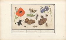 Natural History Ensemble (No. 11), 1596-1610. Creators: Elias Verhulst, Anselmus de Boodt