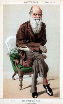 Natural Selection 1871.Artist: Coide
