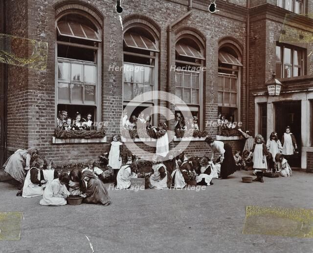 Nature class in the playground, Albion Street Girls School, Rotherhithe, London, 1908. Artist: Unknown.