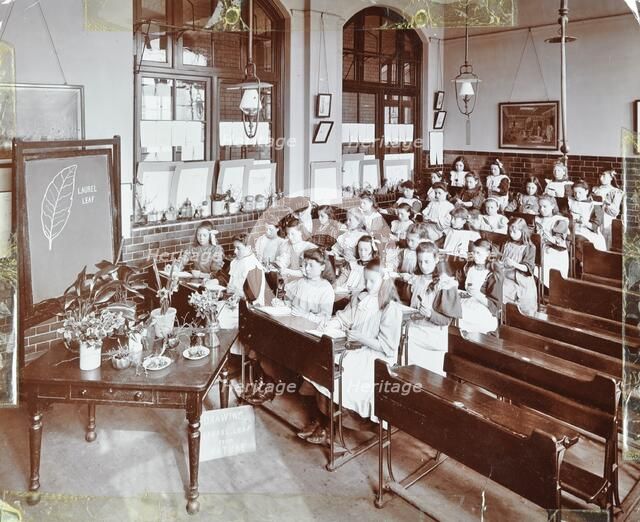 Nature lesson, Albion Street Girls School, Rotherhithe, London, 1908. Artist: Unknown.