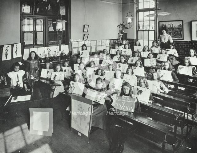 Nature lesson, Albion Street Girls School, Rotherhithe, London, 1908. Artist: Unknown.