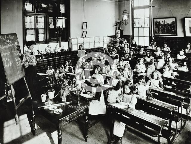 Nature lesson, Class IIIB, Albion Street Girls School, Rotherhithe, London, 1908. Artist: Unknown.