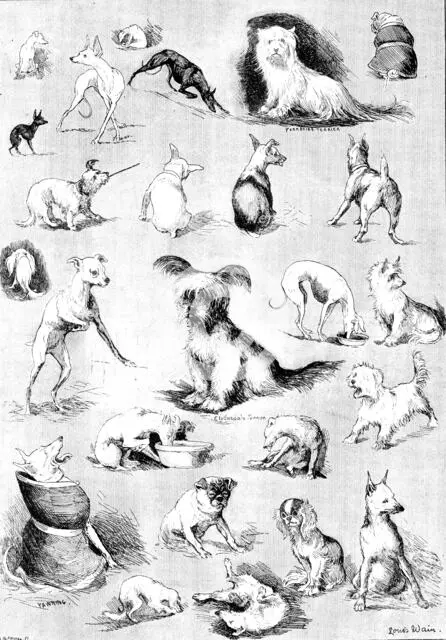 Nature’s Fitful Moments: sketches at the Terrier Club Show, 1890. Creator: Carl Hentschel.