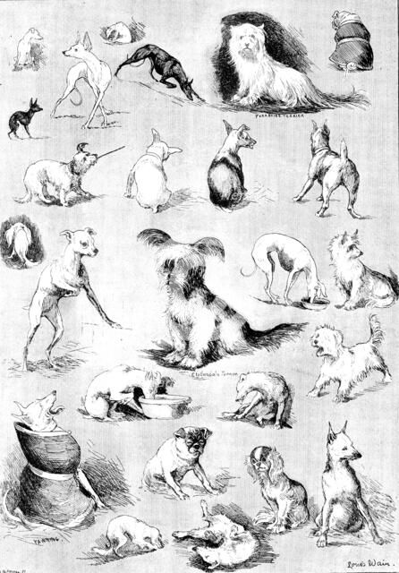 Nature’s Fitful Moments: sketches at the Terrier Club Show, 1890. Creator: Carl Hentschel.