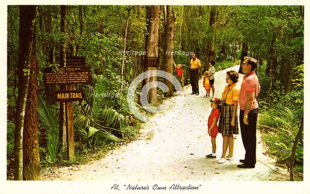 'Nature's Own Attraction', Homosassa Springs, Florida, USA, 1963. Artist: Unknown