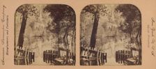 Nature's Mirror, Yosemite Falls, California, U.S.A., 1902. Creator: RY Young