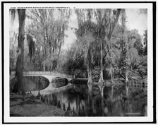 Nature's mirror, Magnolia-on-the-Ashley, Magnolia Gardens, Charleston, S.C., between 1910 and 1920. Creator: Unknown