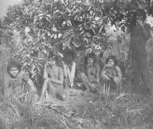 Nambikwara Indians of the State of Matto Grosso, pacified by Colonel Rondon, but not yet fully dr
