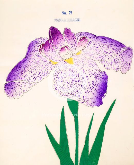 Nanakomachi, No 21, 1890, (colour woodblock print)