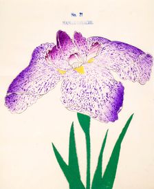 Nanakomachi, No 21, 1890, (colour woodblock print)