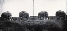 Nanking, Kiangsu province, China, 1871, (1981). Creator: Unknown