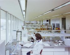 Napp Laboratories, Milton Road, Cambridge Science Park, Milton, Cambridgeshire, 06/09/1983. Creator: John Laing plc