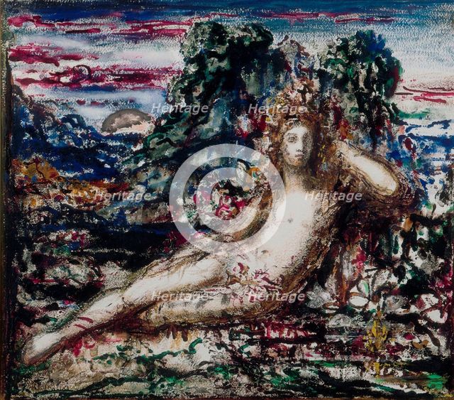 Narcissus.