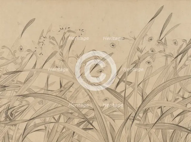 Narcissus, mid-13th century. Creator: Zhao Mengjian.