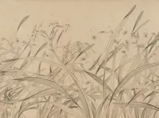 Narcissus, mid-13th century. Creator: Zhao Mengjian