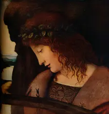 Narcissus c1500. Artist: Giovanni Antonio Boltraffio