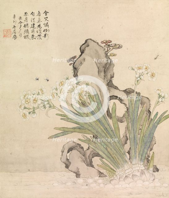 Narcissus, Rock, Bees and Linghzhi, 1891. Creator: Ju Lian.