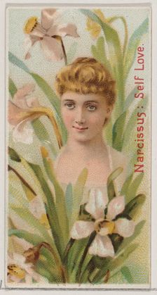 Narcissus: Self Love, from the series Floral Beauties and Language of Flowers (N75) for Du..., 1892. Creator: Donaldson Brothers
