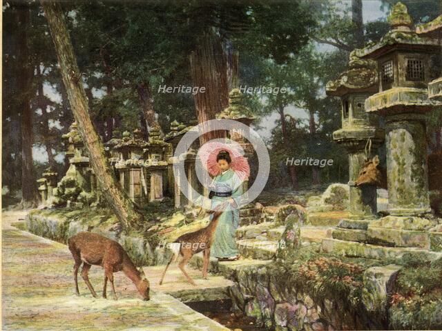 'Nara, the Heart of Old Japan', 1910. Creator: Herbert Ponting.