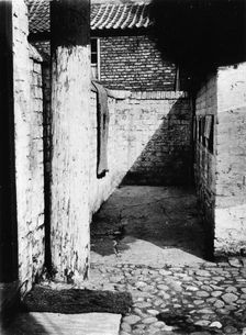 Narrow alley in a York slum, Yorkshire, 1901