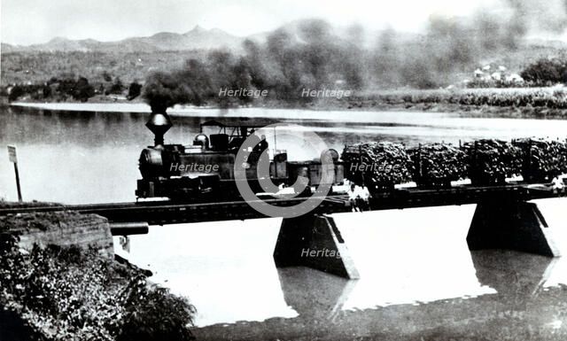 Narrow track train in the fields of Cuba, transporting sugar cane to the factories, photograph 1920.